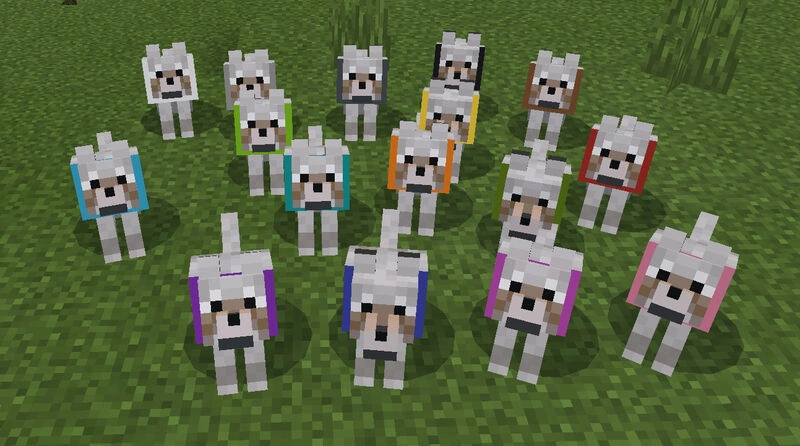 domesticate-every-animal-in-minecraft