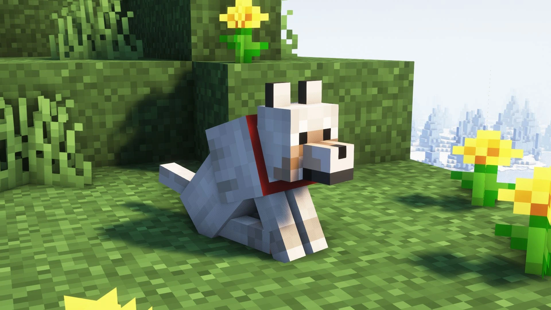 guide-to-taming-a-wolf-in-minecraft